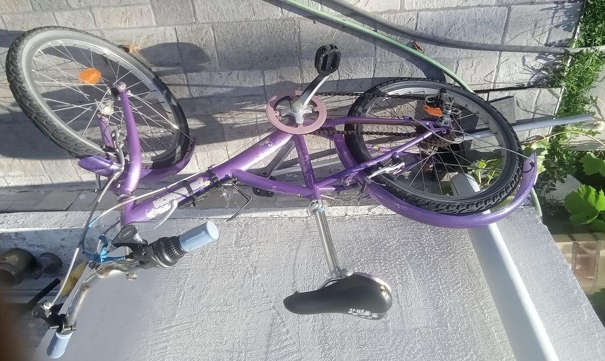 Vélo fille 20 pouces